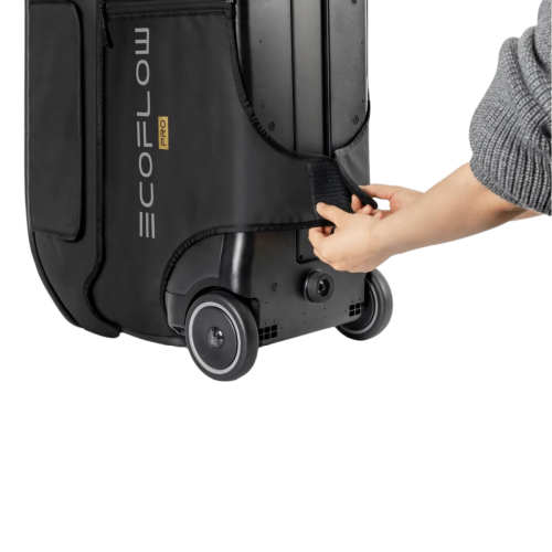 EcoFlow DELTA Pro Bag